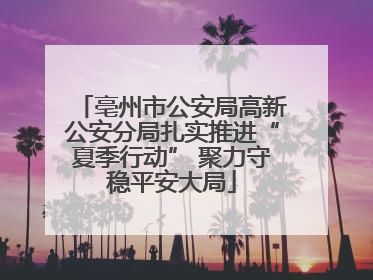 亳州市公安局高新公安分局扎实推进“夏季行动” 聚力守稳平安大局